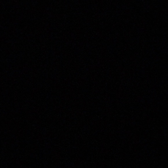 Meet your Posher, Charlize - Picture 1 of 1